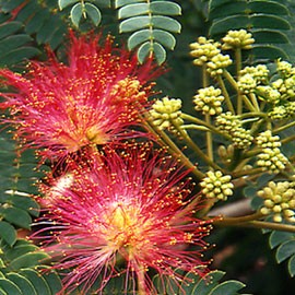 nettoyage des espaces verts gestivert